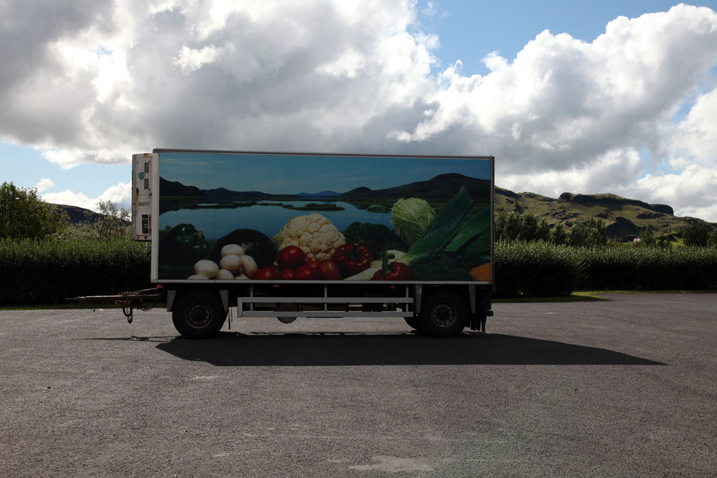 Fruit imitiates life at Klettar, Iceland