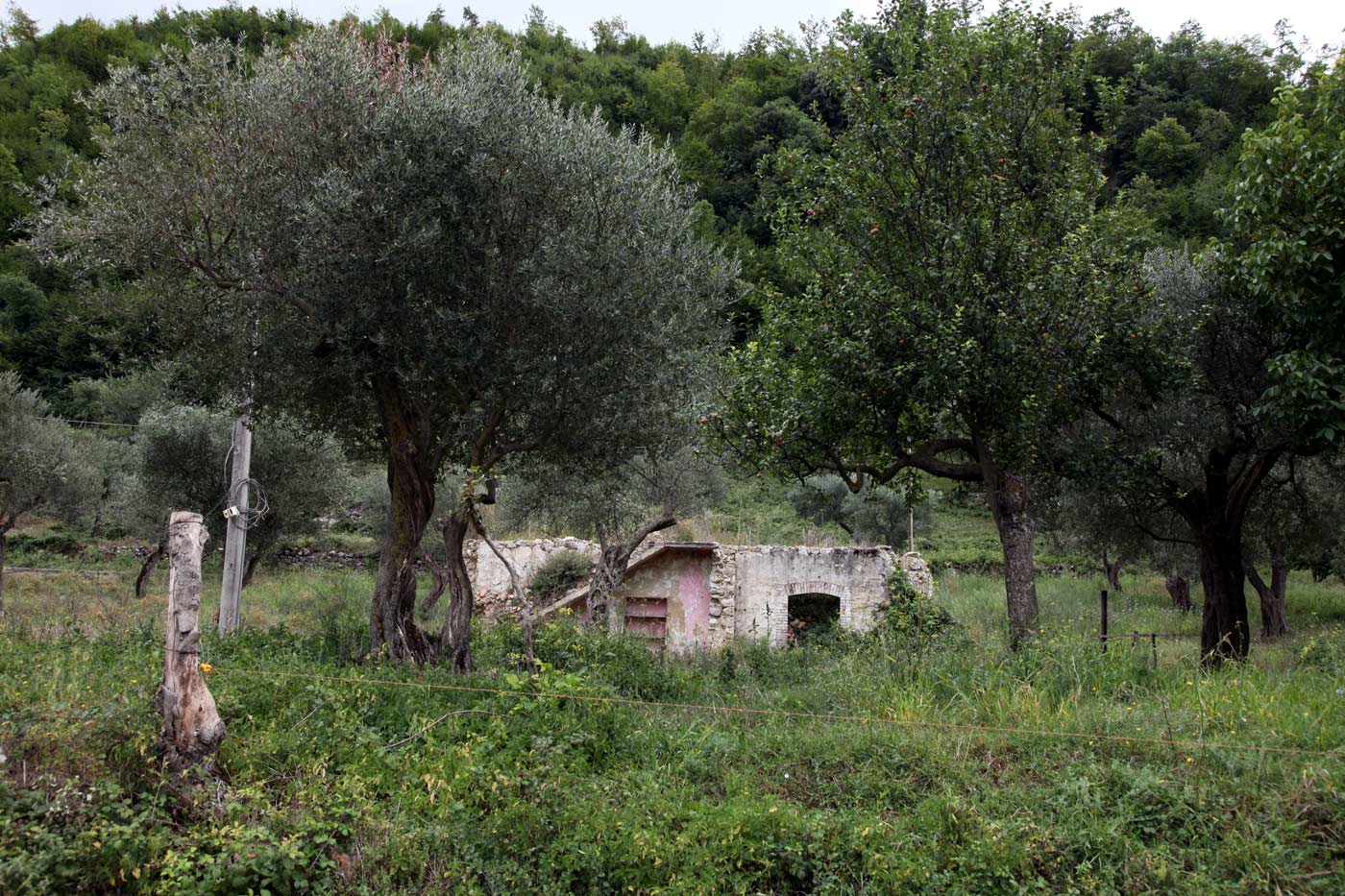 Earthquake damaged house, Valva, Italy